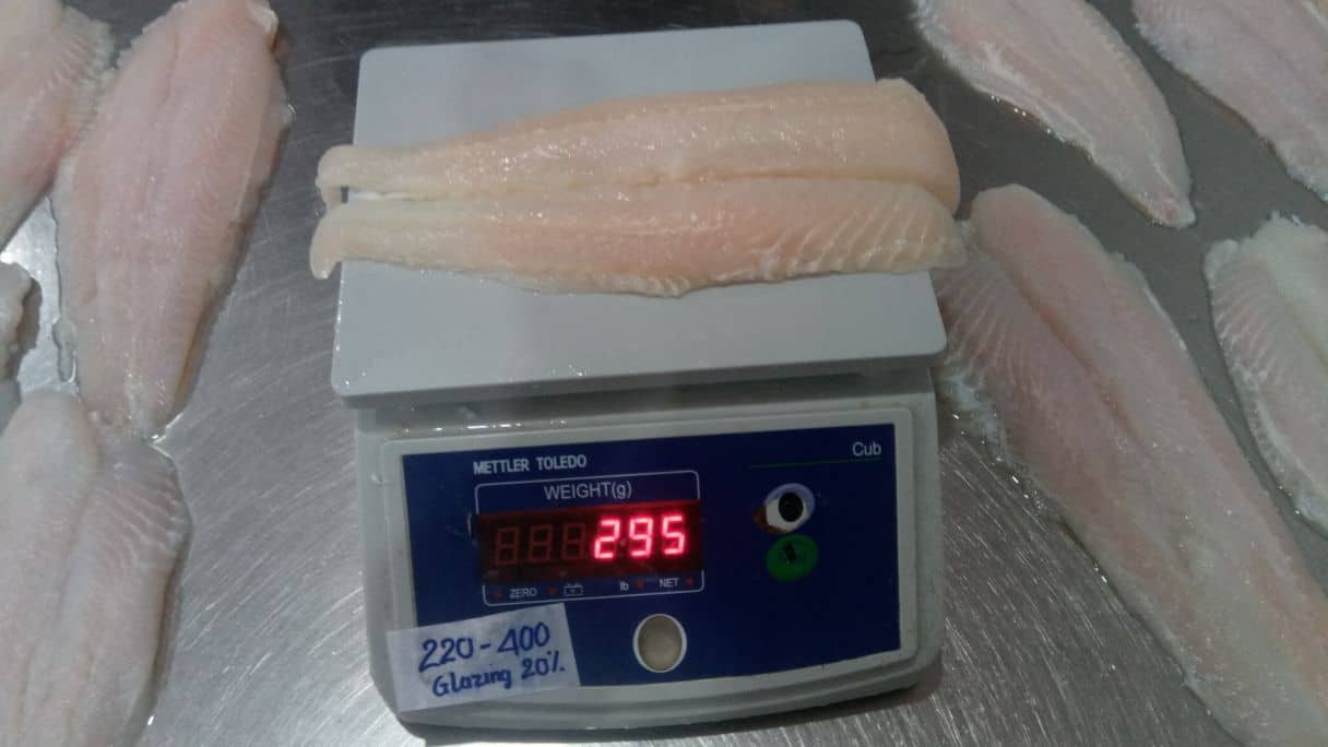 frozen basa fillet well trimmed pangasius well-trimmed fillet