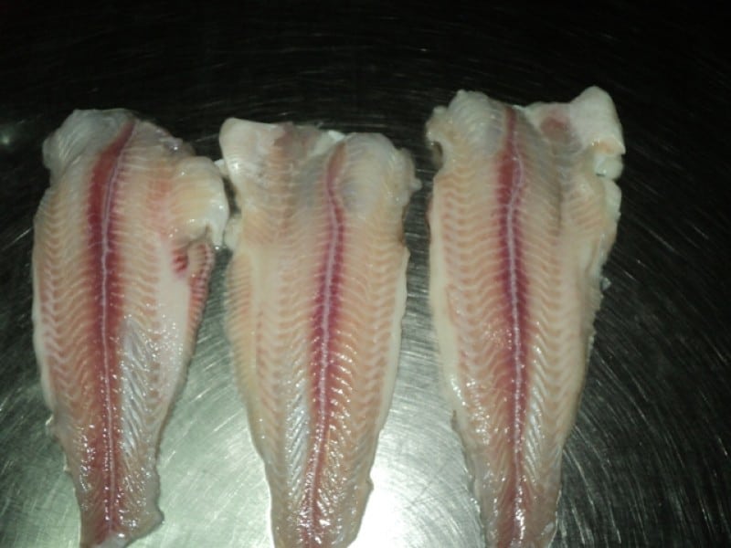 frozen pangasius fillet un trimmed