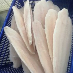 frozen pangasius fillet well-trimmed vietnam