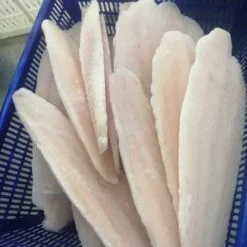 frozen pangasius fillet well-trimmed vietnam