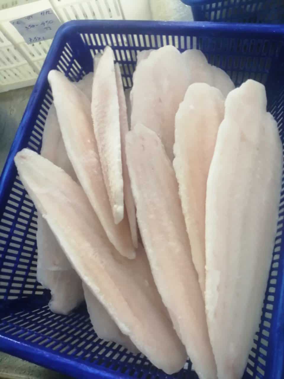 frozen pangasius fillet well-trimmed vietnam frozen pangasius fillet well-trimmed vietnam