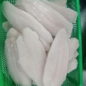 Frozen pangasius fillet