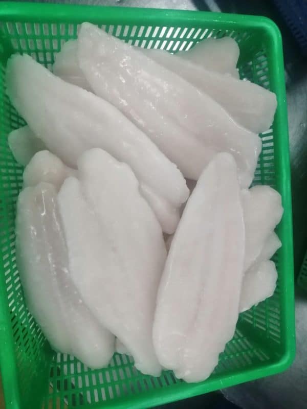 Frozen pangasius fillet