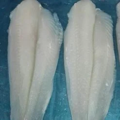 frozen pangasius fillet well-trimmed