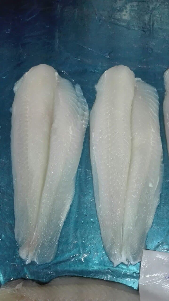 frozen pangasius fillet well-trimmed frozen pangasius fillet well-trimmed