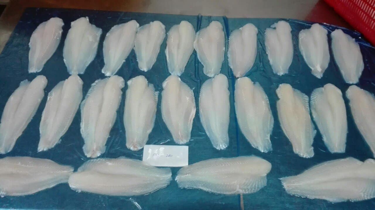frozen pangasius fillet