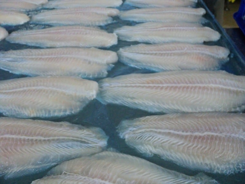 frozen pangasius fillet well trimmed 4 frozen pangasius fillet well trimmed