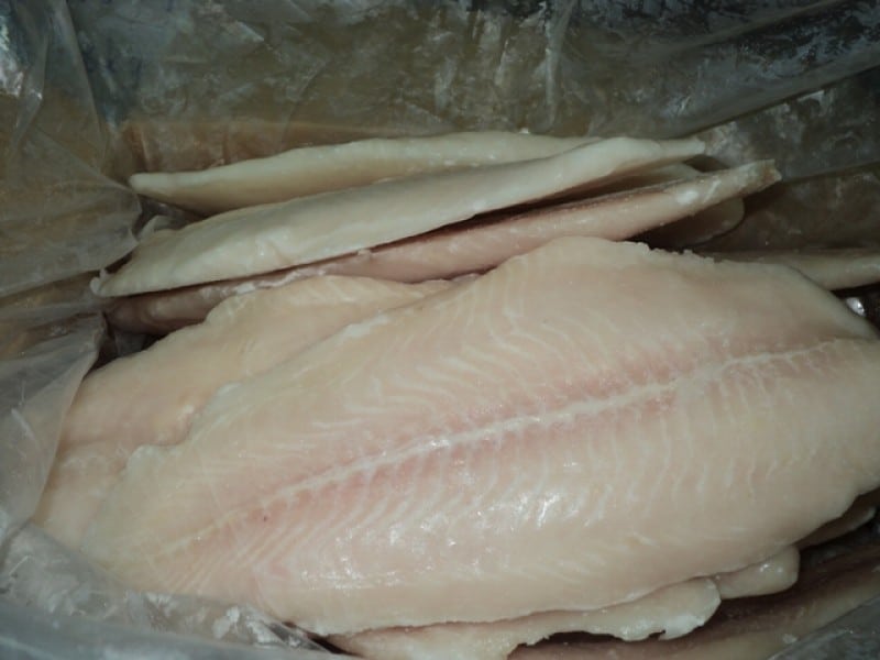 pangasius fillet well trimmed
