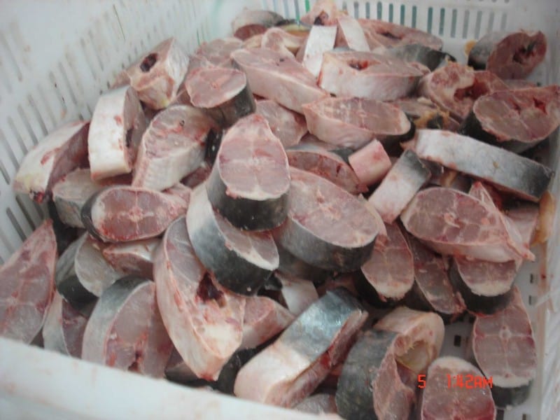 frozen pangasius steak 3