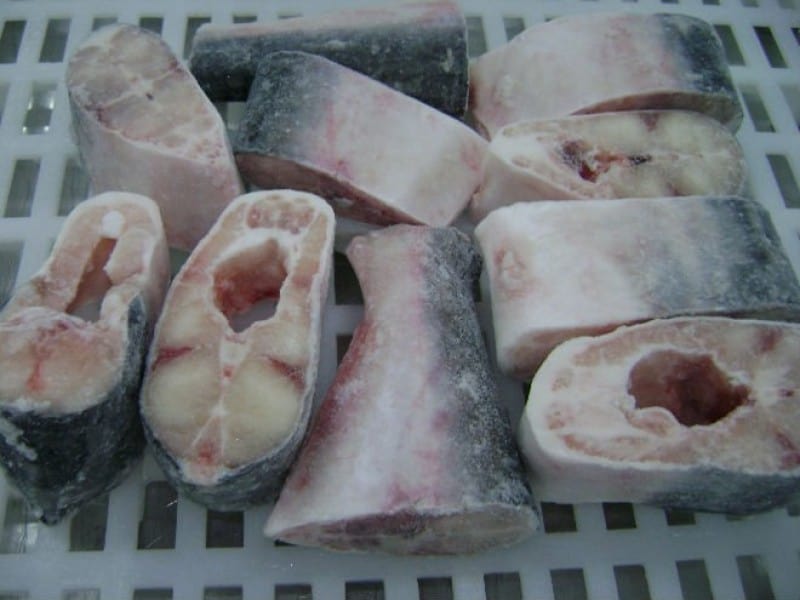 pangasius steak