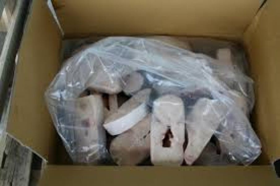 frozen pangasius steak Pangasius Steak