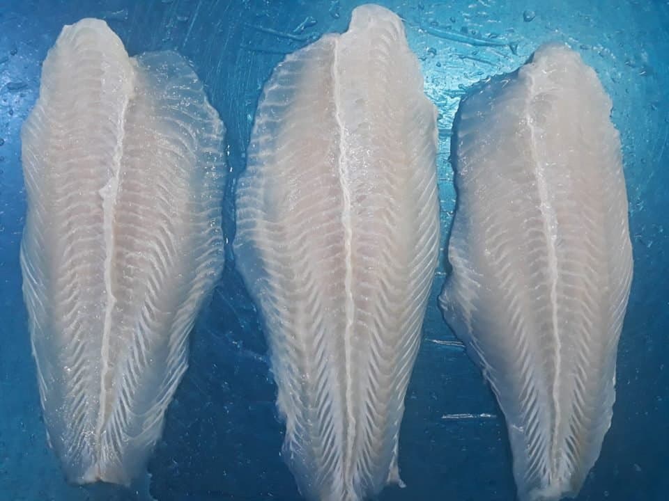 pangasius fillet well trimmed