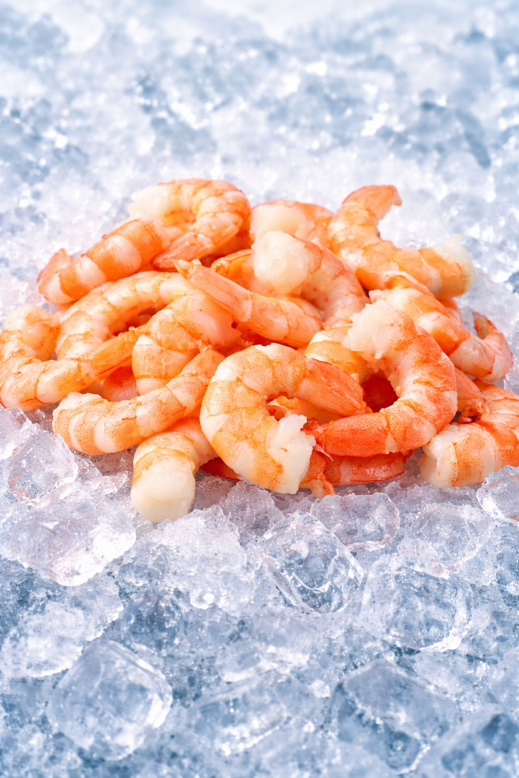 Black Tiger Prawn CPD