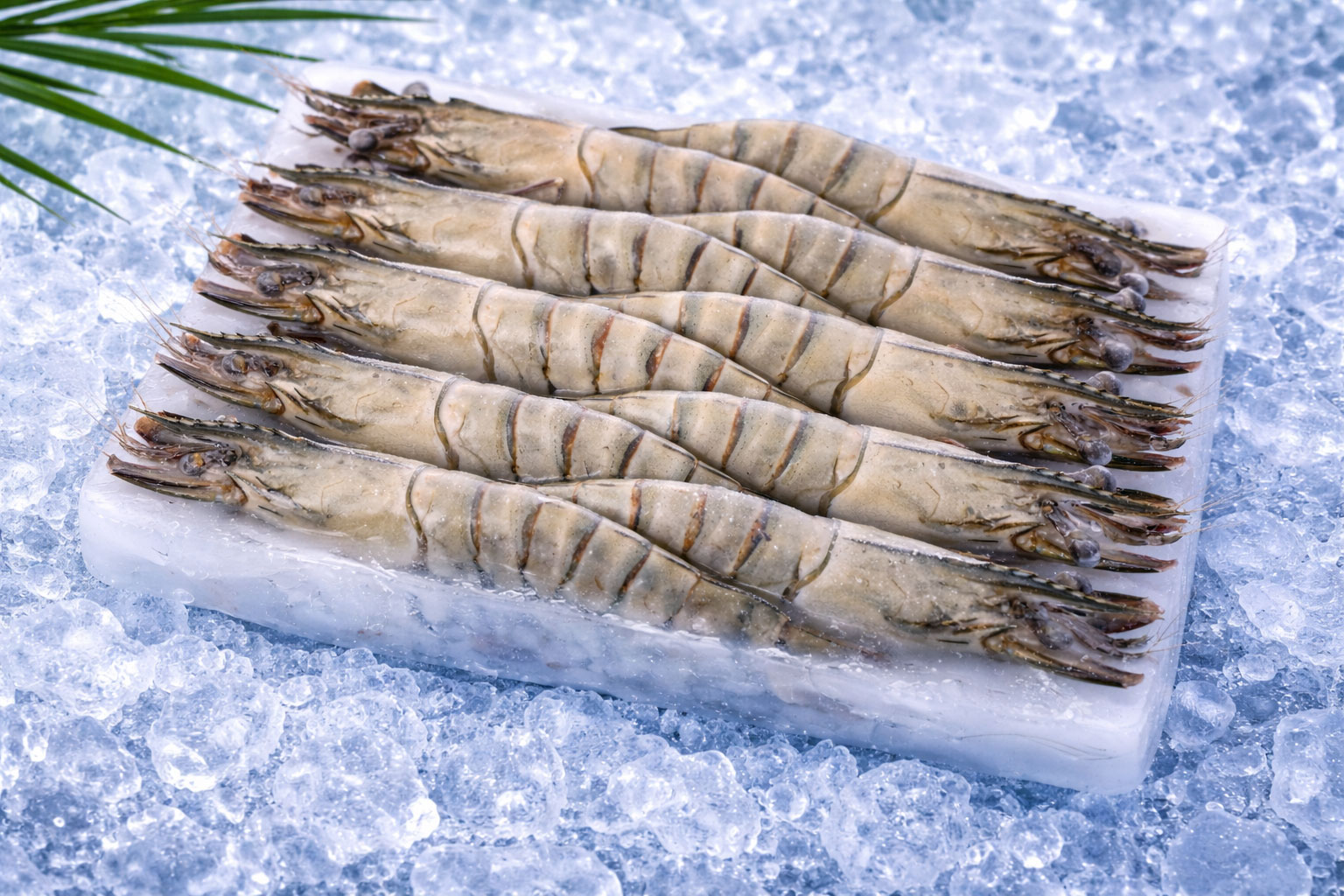 Black Tiger Prawn Thai Lien Company